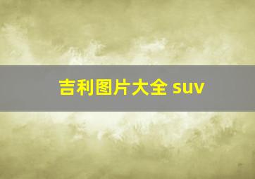 吉利图片大全 suv